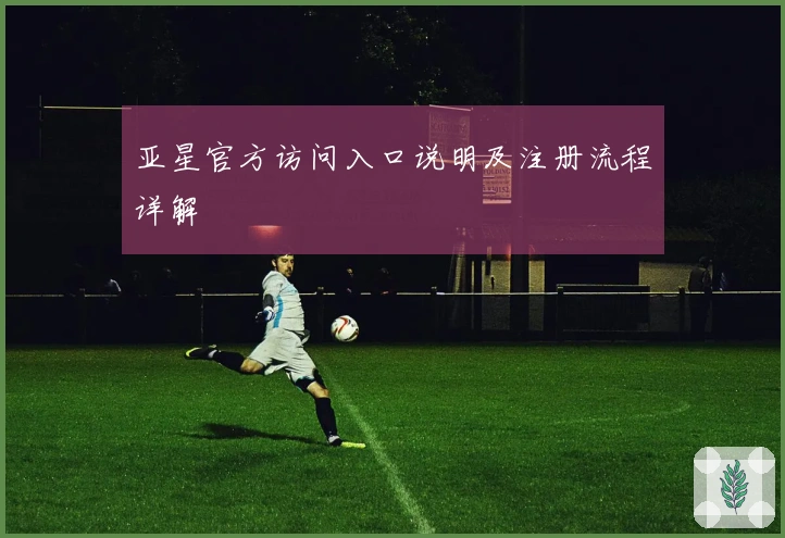 亚星官方访问入口说明及注册流程详解