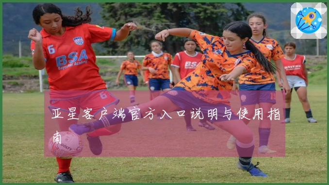 亚星客户端官方入口说明与使用指南