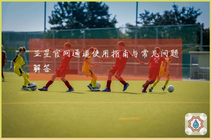 亚星官网通道使用指南与常见问题解答
