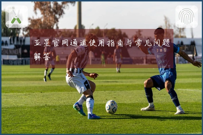 亚星官网通道使用指南与常见问题解答